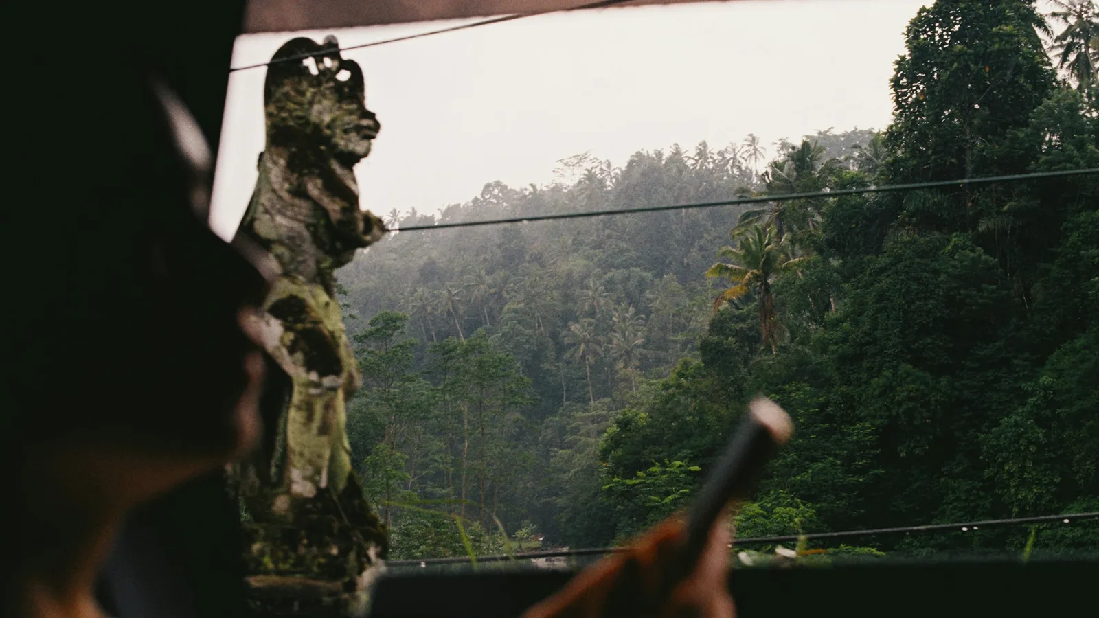 Jungle view through a car windscreen with a Balinese figurine on the dashboard, en route to Besakih