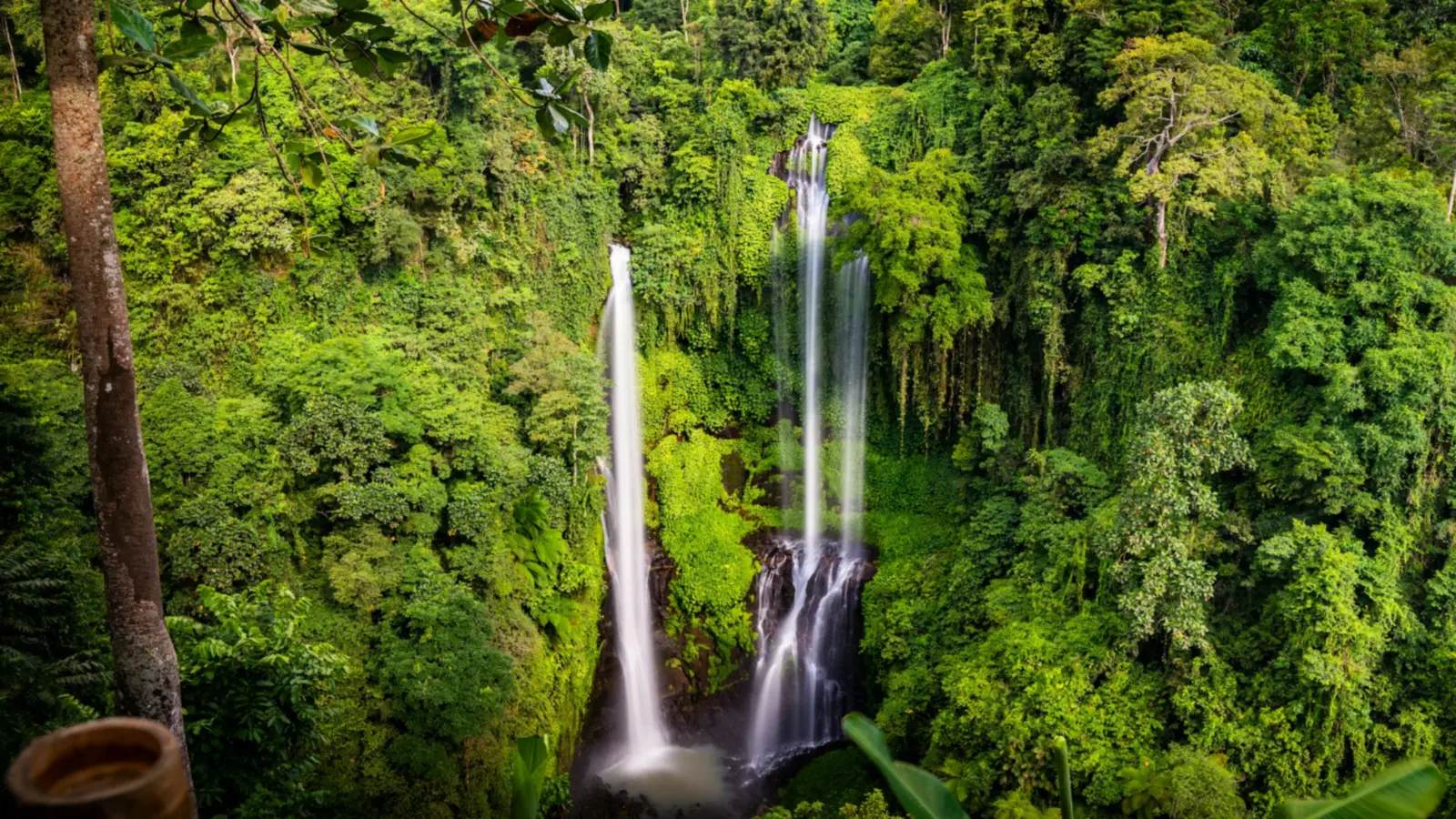 Twin falls of Sekumpul Waterfall plunging through dense green jungle in North Bali