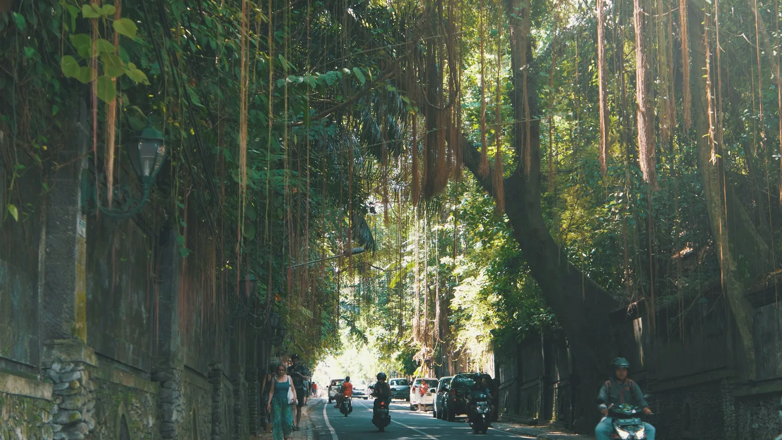 Scooters and cars on a tree-shaded jungle road in Ubud, Bali